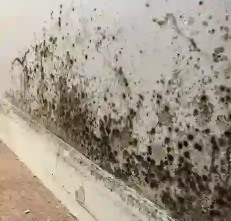 Damp Proofing Somerset West